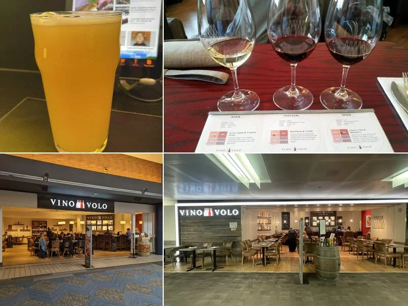 Vino Volo business photo